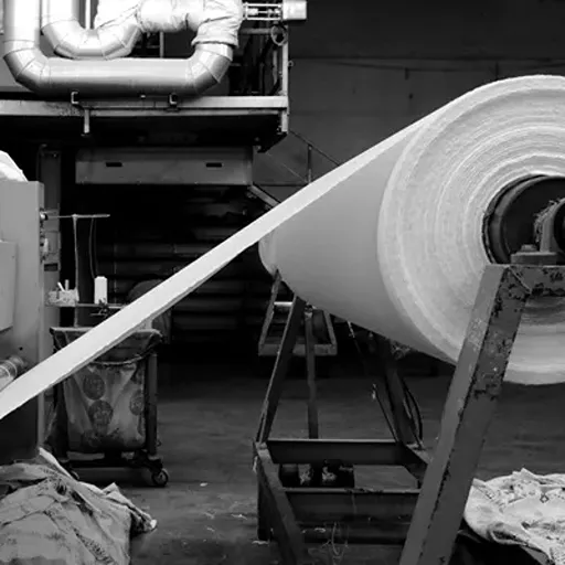 Pulp and Paper Industry